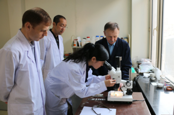 伟德体育承担的科技部国际合作专项通过技术验收